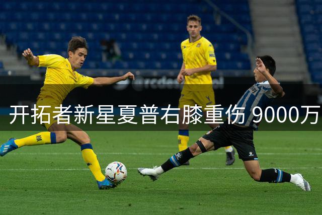 开拓者新星夏普右膝重伤 9000万合同恐成球队负担