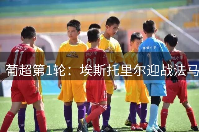 葡超第1轮：埃斯托里尔迎战法马利康，新帅首秀遭遇苦主